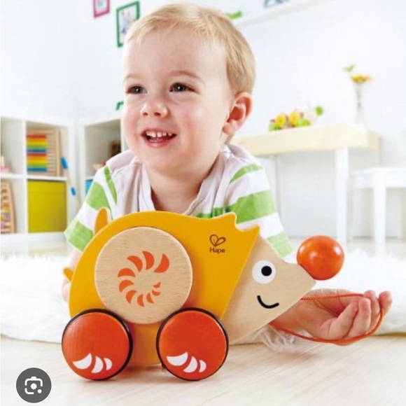 Hape Walk Along Wooden Hedgehog Montessori Pull Toy - Picture 3 of 8
